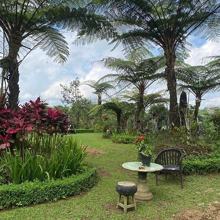 Lembah Cinta Mayungan Baturiti 外观 照片