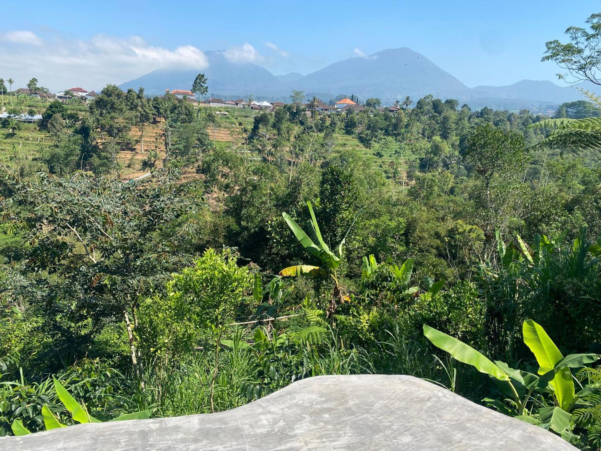 Lembah Cinta Mayungan Baturiti 外观 照片