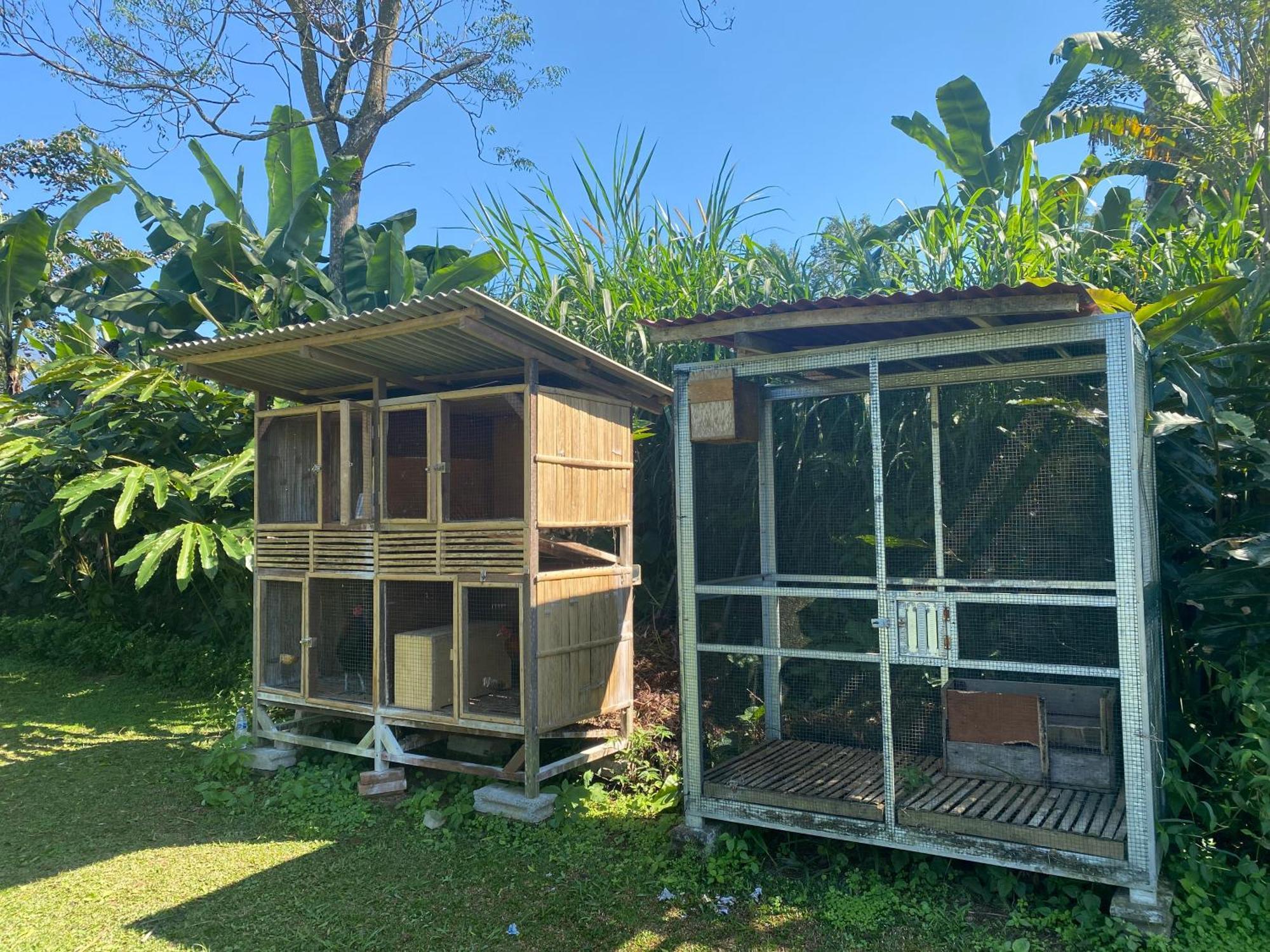 Lembah Cinta Mayungan Baturiti 外观 照片