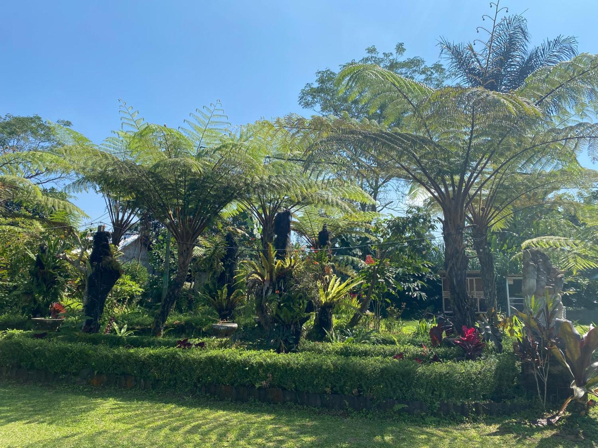 Lembah Cinta Mayungan Baturiti 外观 照片