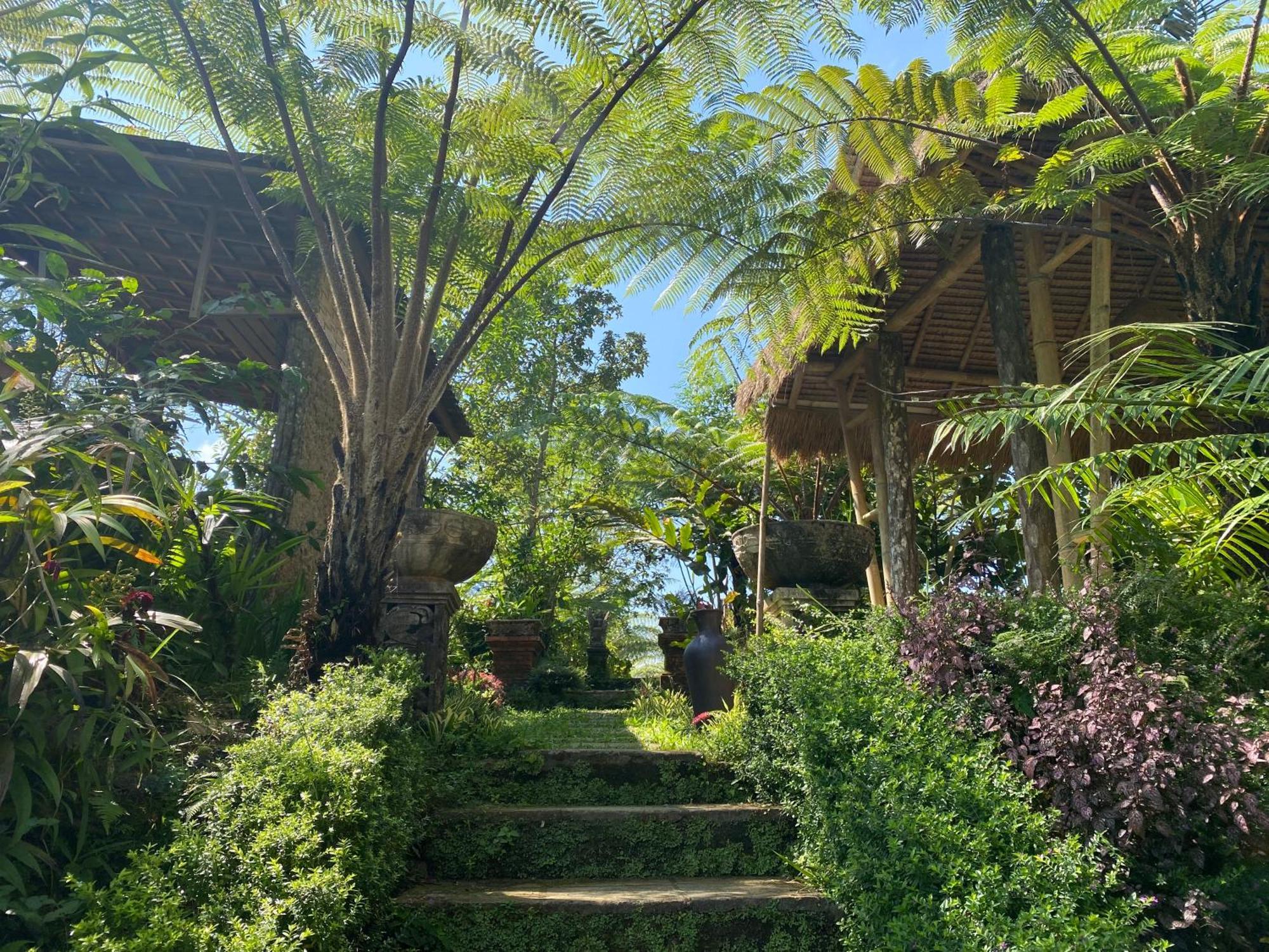 Lembah Cinta Mayungan Baturiti 外观 照片