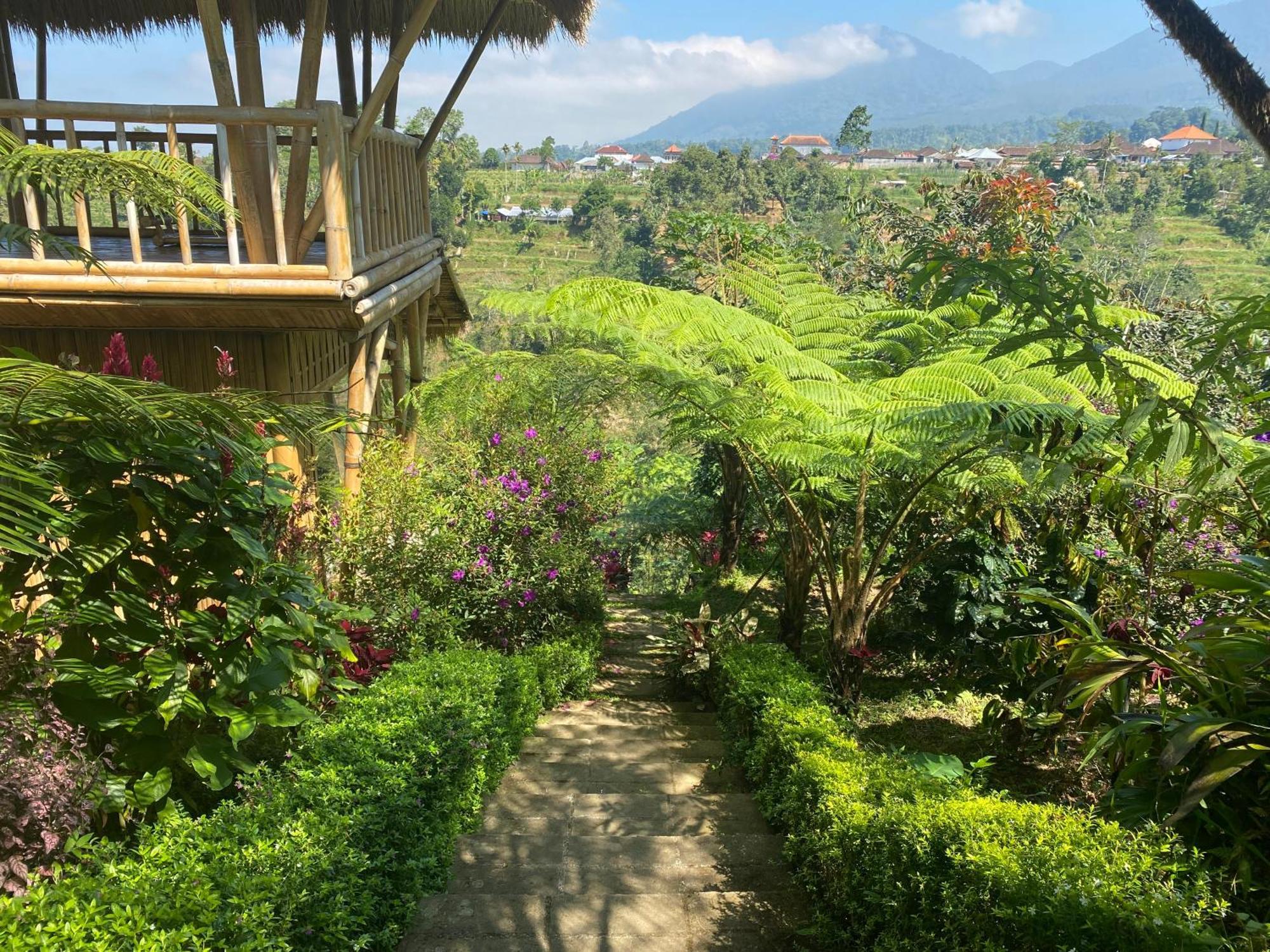 Lembah Cinta Mayungan Baturiti 外观 照片