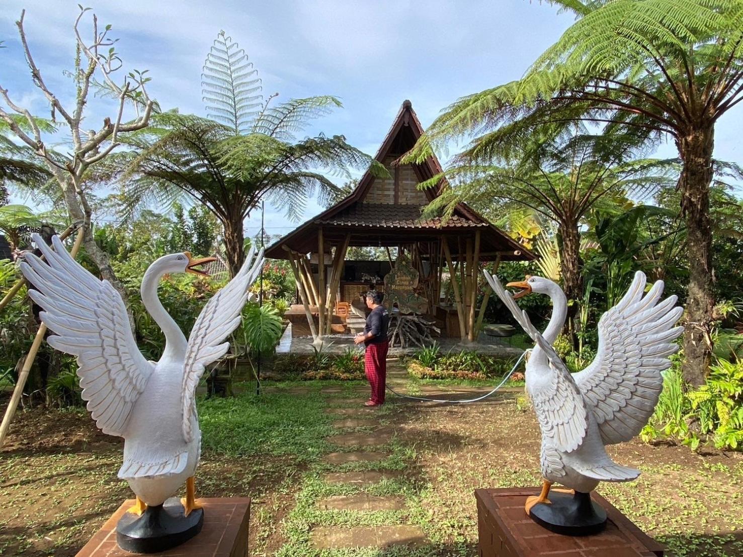 Lembah Cinta Mayungan Baturiti 外观 照片