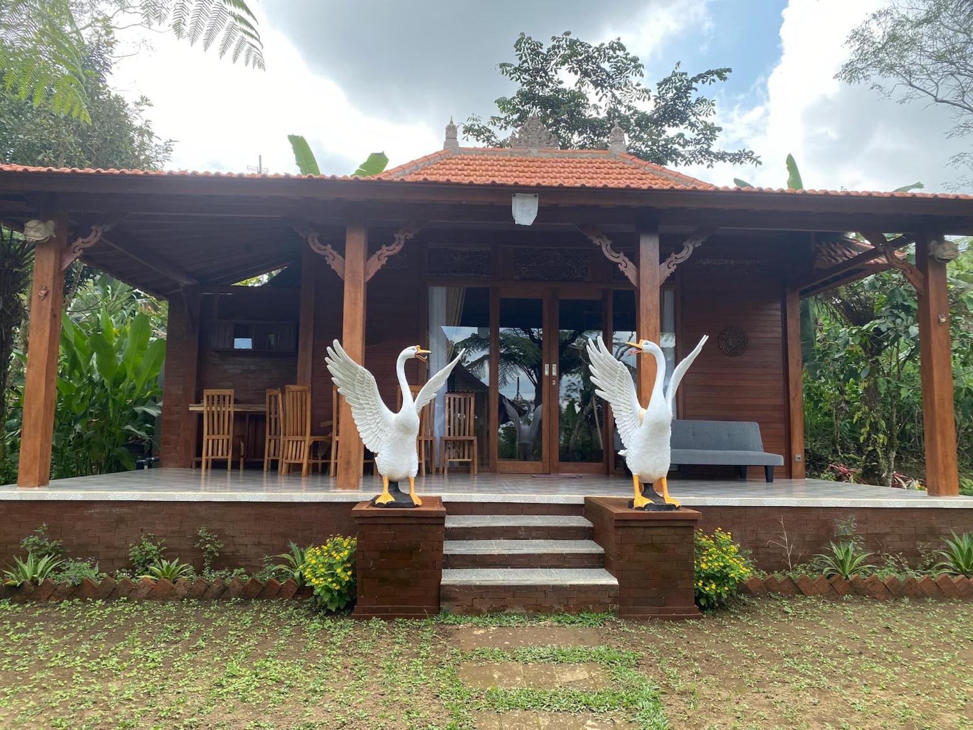 Lembah Cinta Mayungan Baturiti 外观 照片
