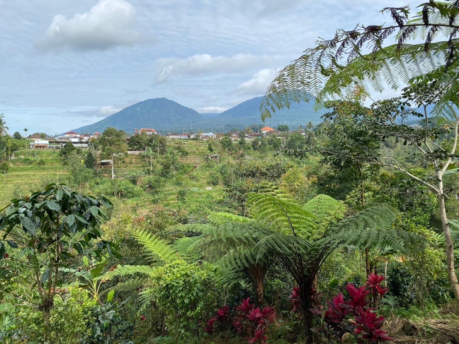 Lembah Cinta Mayungan Baturiti 外观 照片