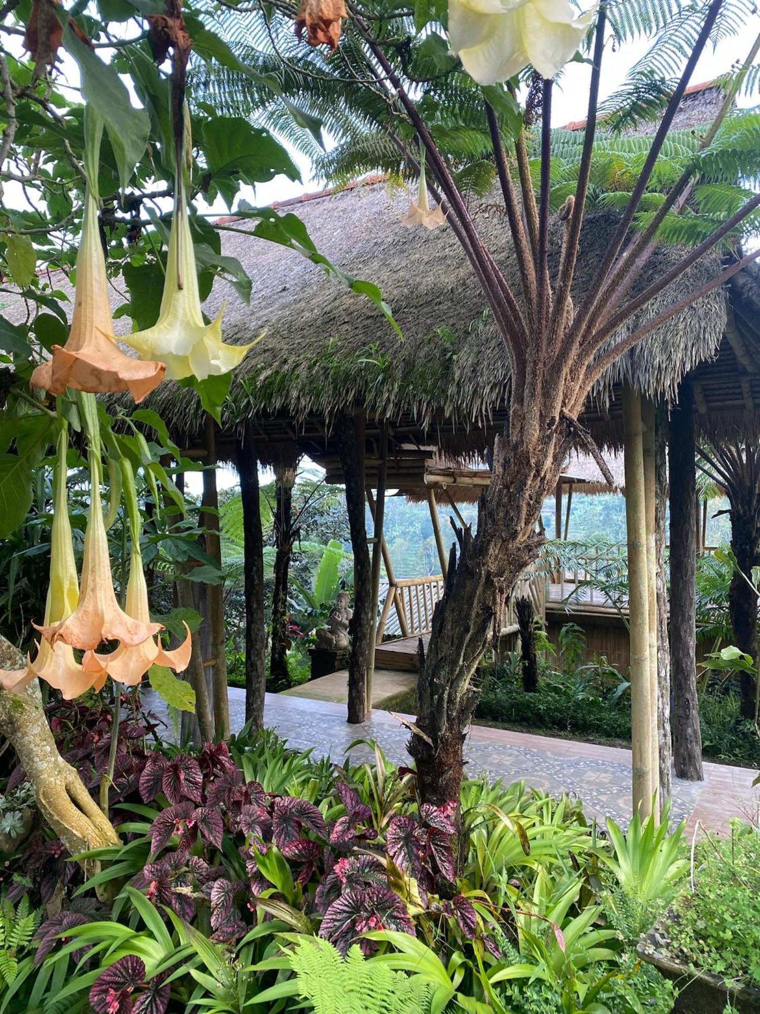 Lembah Cinta Mayungan Baturiti 外观 照片